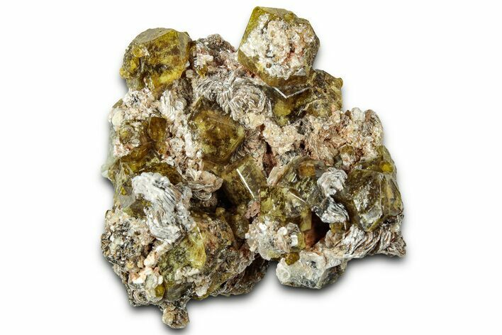 Yellow Andradite-Grossular Garnet Cluster with Clinochlore - Mali #330495